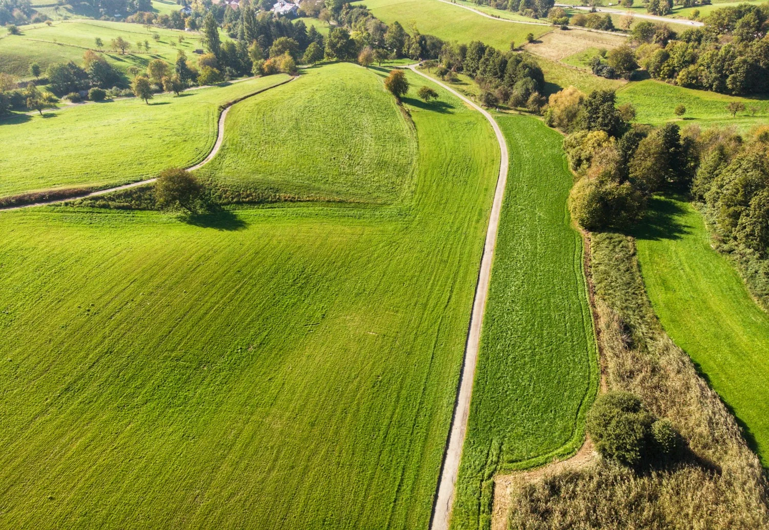 Vorschaubild: ein Feldweg zwischen Wiesen und Bäumen