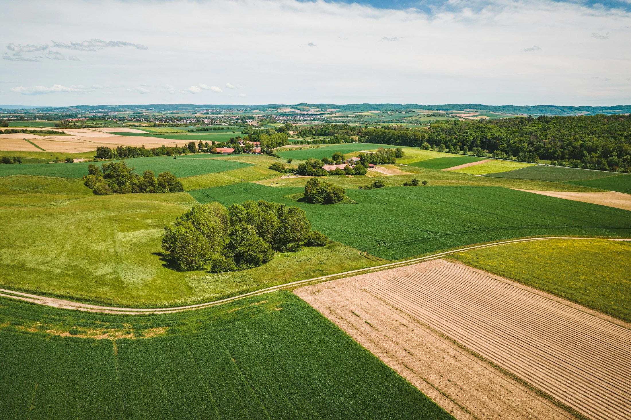 Vorschaubild · Timon Reinhard / Unsplash